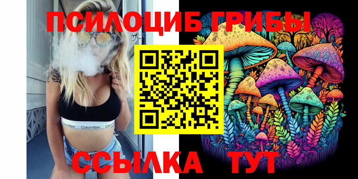 Псилоцибиновые грибы Cubensis  Вход с VPN  Рассказово 